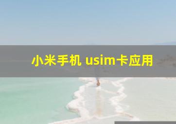 小米手机 usim卡应用